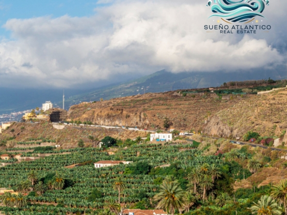 Finca Canaria, cultura, información, apartamentos tenerife, sueño átlantico, las Fincas Canarias